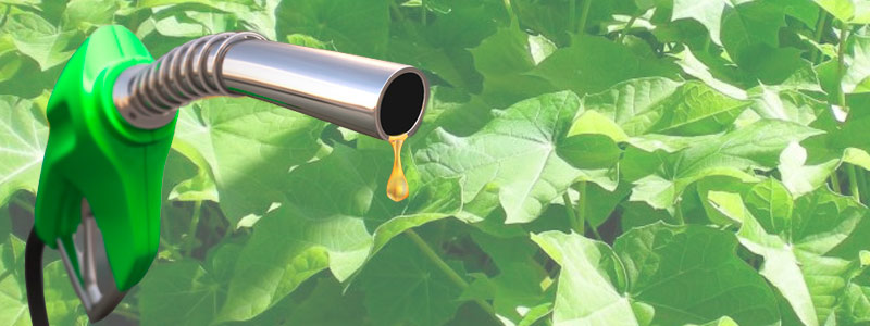 La primera biorrefinería de México