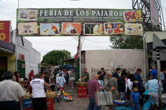 Argentina. Más de 200 personas realizaron un mural contra el tráfico de fauna en Pompeya