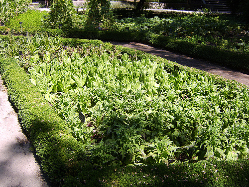 La directora de la Fundación Biodiversidad inaugura la muestra sobre Doñana en el Real Jardín Botánico de Madrid