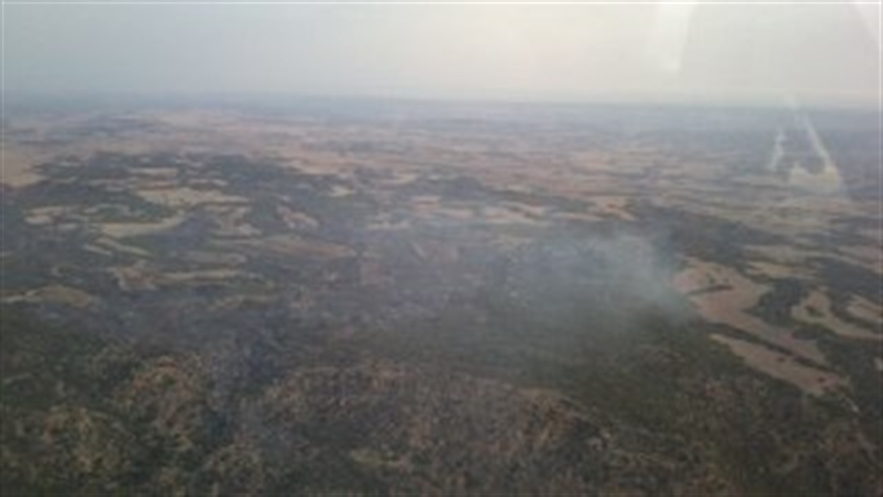 Un incendio quema más de 50 hectáreas en Samper de Calanda (Teruel)