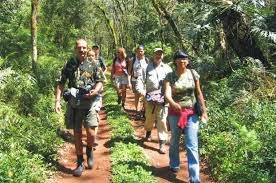 Pseudoecoturismos fraudulentos