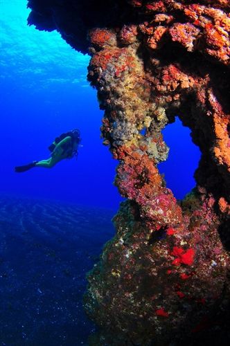 La química y los cambios de nivel marcaron la evolución de la vida marina