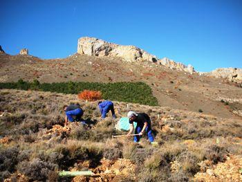 El Departamento de Medio Ambiente y "la Caixa" restauran con 13.500 árboles el monte Valdelinares