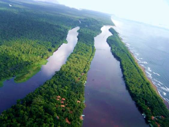 Muere el biólogo Álvaro Ugalde