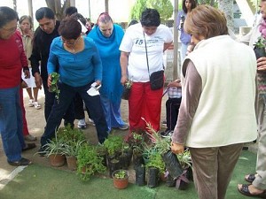 Fomentan cuidado del medio ambiente