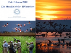 Día Mundial de los Humedales (2 de Febrero)