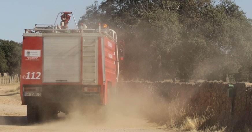 Un fuego en San Pedro de Rozados (Salamanca) arrasa 35 hectáreas de masa forestal y pasto