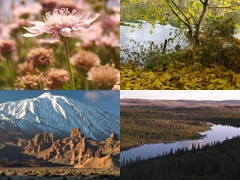 Día Internacional de la Diversidad Biológica