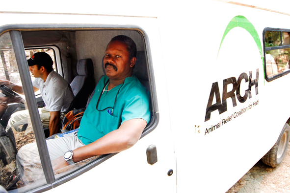 Seis meses después: más de 25.000 animales beneficiados con la Coalición para el Rescate de Animales en Haití (ARCH)