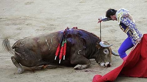 Financiando emisiones taurinas en RTVE