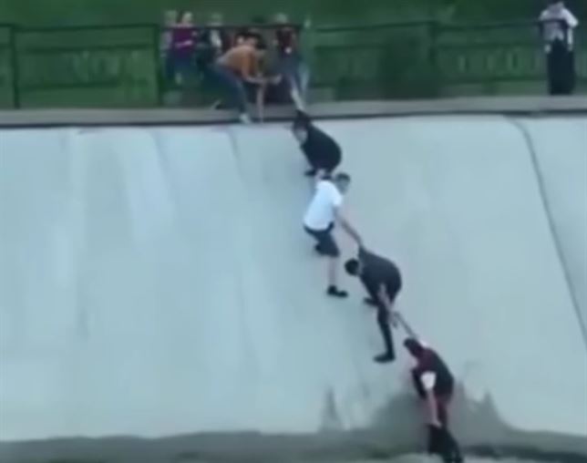 Solidaridad para salvar un perro (Vea VIDEO)