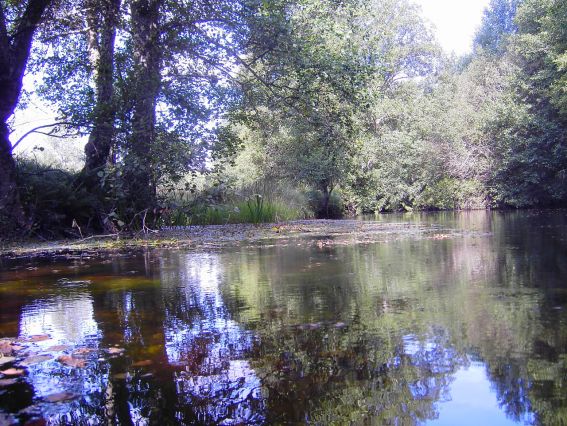Medio Ambiente invierte más de 3
