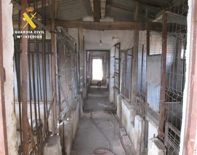 El SEPRONA presenta 40 denuncias contra el propietario de un centro de cría clandestino en Burgos