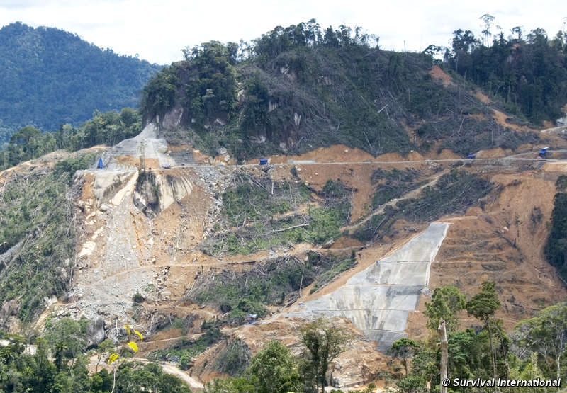 Doble amenaza a la selva de los indígenas de Borneo por la “energía verde”