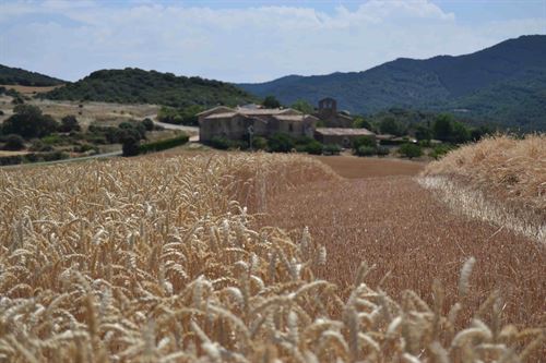 La mitad de los españoles están concienciados con la importancia de la biodiversidad