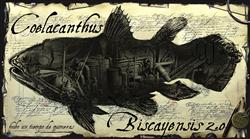 El centro de Biodiversidad de Euskadi inaugura la exposición "Coelacanthus Biscayensis 2.0"