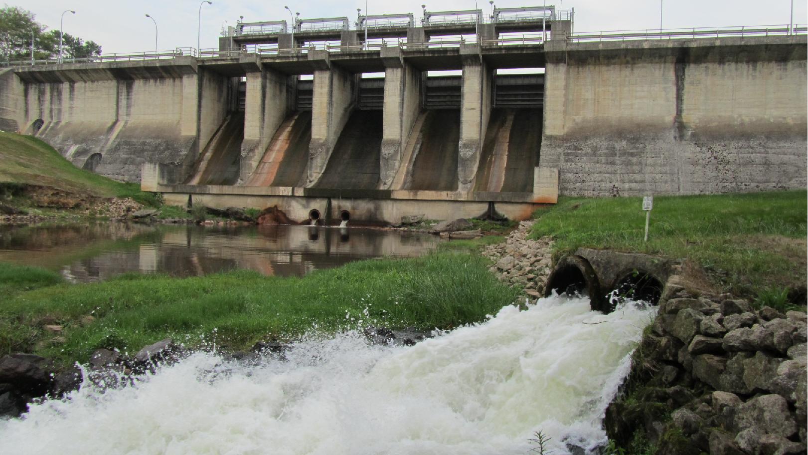 RÍOS CON VIDA cree posible el acceso del río Mero a especies como el salmón atlántico