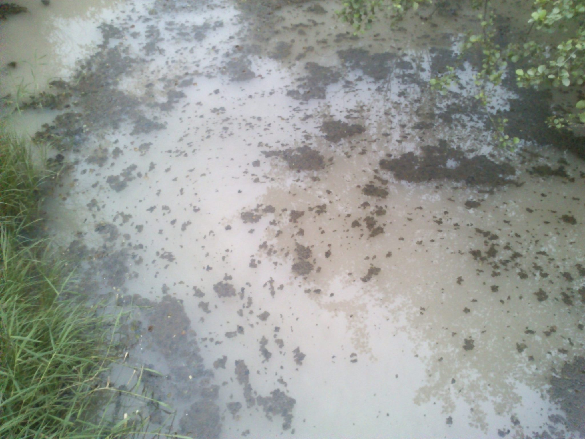 Contaminacion en Asturias