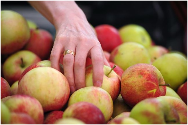 Recomendaciones saludables y naturales para combatir el frío