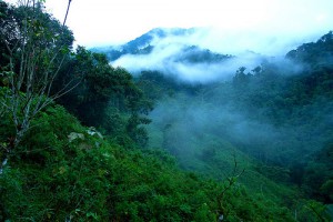 El desarrollo sostenible necesita más que la economía verde: ministra ecuatoriana