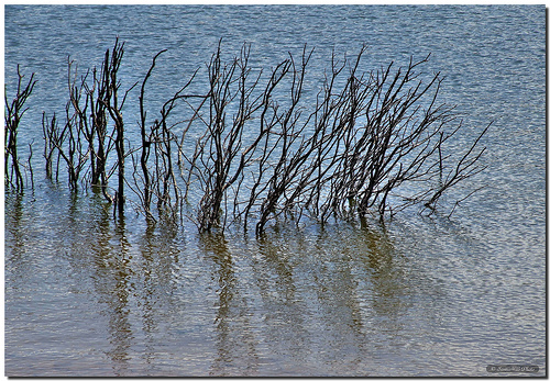 Los pantanos de la cuenca del Segura pierden un hectómetro cúbico de reservas en la última semana