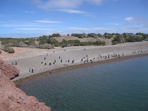 La playa de Tombo consigue la segunda bandera azul para Brasil