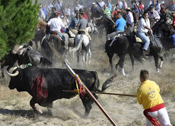 Gran manifestación en Madrid bajo el lema STOP TORO DE LA VEGA