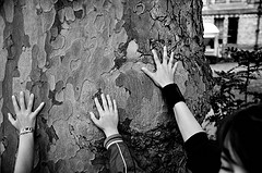 Las deudas ecológicas de la democracia moderna