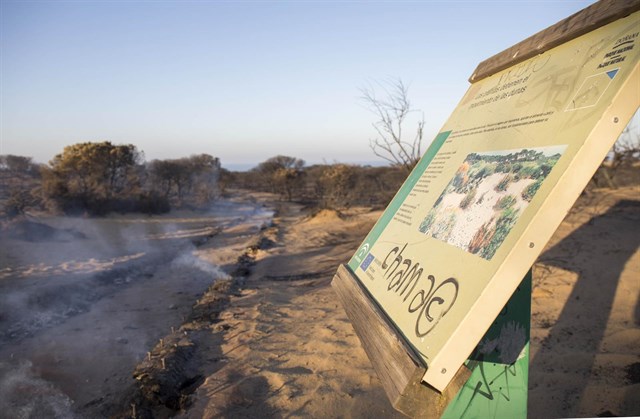 Ecologistas instan a esperar informes para las causas del fuego de Huelva pero inciden en la necesidad de autoprotección