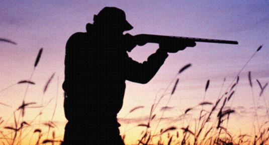 Castilla – La Mancha. Al despropósito de la caza