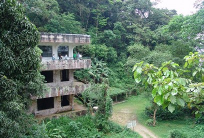 Una tragedia ambiental en el centro norte de Venezuela: el Parque Henri Pittier