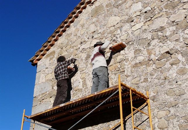 Acciones proactivas para recuperar el cernícalo en El Espinar (Segovia)