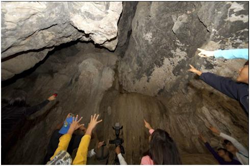 MURCIÉLAGOS  Sus Secretos al Descubierto