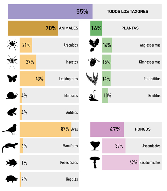 La ciencia ciudadana se erige como una gran aliada de la biodiversidad