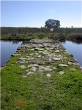 WBCSD lanza BET --Business Ecosystem Training-- para formar a las empresas en materia de gestión sostenible de los ecosistemas con la participación de Fundación Entorno-BCSD España.