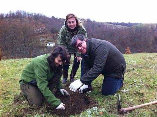 Reforestan tres hectáreas de bosque con un total de 3.000 árboles entre las sierras de Madrid y Segovia
