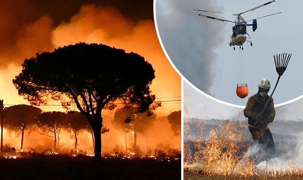 Doñana en grave peligro por un pavoroso incendio