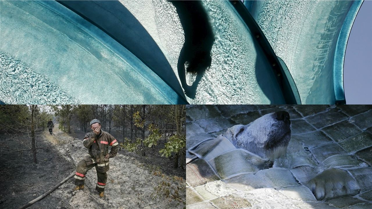 El año más caluroso de la historia en ‘imágenes’