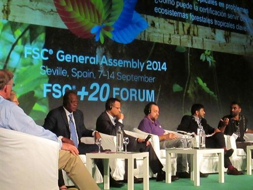 Greenpeace Internacional pide voluntad política para salvar bosques tropicales