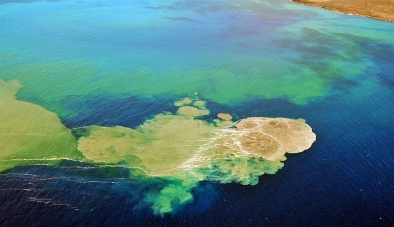 El volcán submarino de El Hierro crece 50 metros