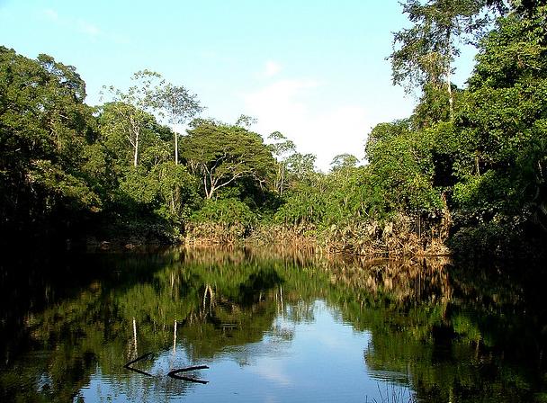 Alemania dice no al proyecto ecológico ONU "Yasuni ITT" en Ecuador