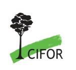 Brasil y Noruega hablarán sobre la importancia de los bosques para una economía verde