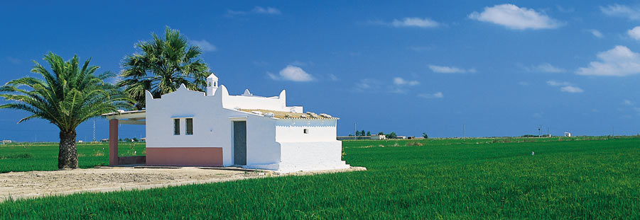 Ecologistas creen que desaparecerá el Delta del Ebro