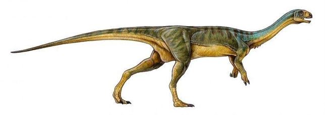 Descubierto un raro dinosaurio ‘ornitorrinco’
