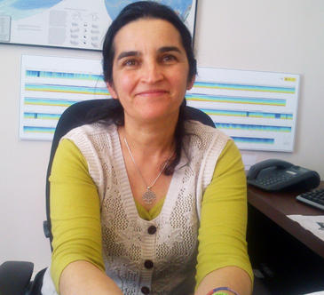 En El Hierro existe todavía actividad anómala y hay que analizar su evolución