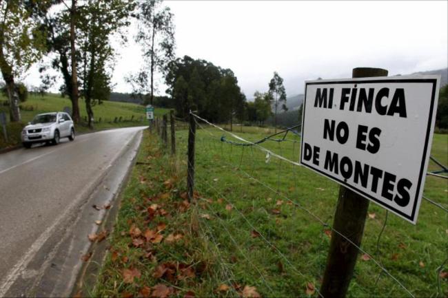 EQUO pide ‘amparo’ a Europa sobre la reforma de la Ley de Montes