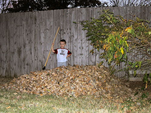 Compostaje colectivo: el ejemplo de Lindsborg