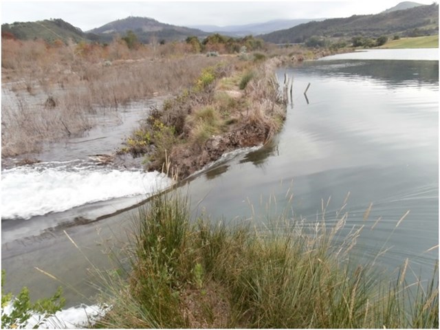 Graves irregularidades en la recuperación de la marisma de Rubín