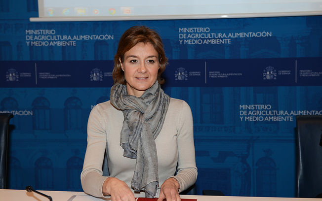 Medio Ambiente ‘elogia’ las tecnologías limpias