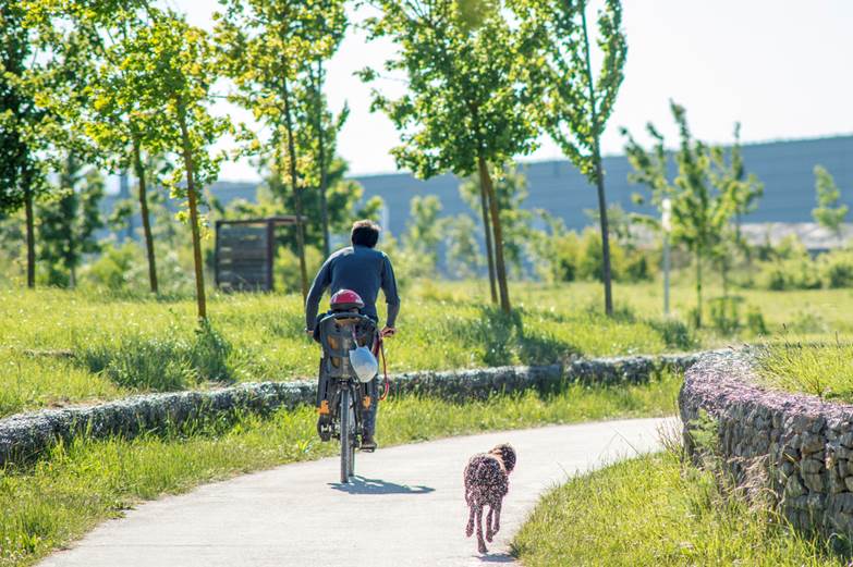 Álava prepara docenas de nuevas rutas ciclistas e itinerarios verdes